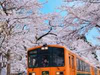 青森蘆野公園 - 日本文豪太宰治的童年足跡