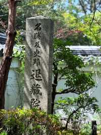 Myoshin-ji Sakura | Kyoto's Zen Blossom Retreat