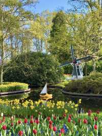 【オランダ】世界最大級のフラワーパーク🌷【キューケンホフ公園】