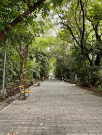 A Breath of Fresh Air: Discovering Arroceros Forest Park 