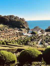Discovering the Springtime Splendor of Oedo Botania
