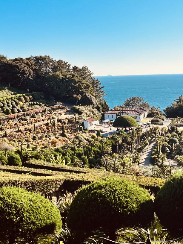 Discovering the Springtime Splendor of Oedo Botania