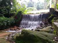 🌿 Botanic Gardens Adventure: Penang’s Green Oasis of Monkeys & Magic!  