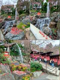 大阪勝尾寺🧧人氣祈福🙏，打卡寺院