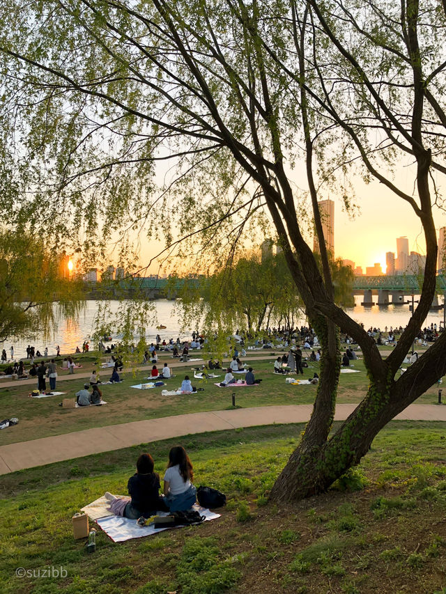 서울 여행 노을 맛집 🌅, 노들섬 100% 즐기기!
