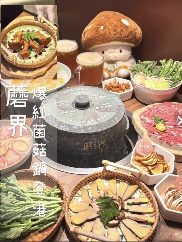 蘑界|深圳人氣野生菌火鍋