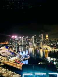 Above the City: A Breathtaking Ride on the Singapore Flyer