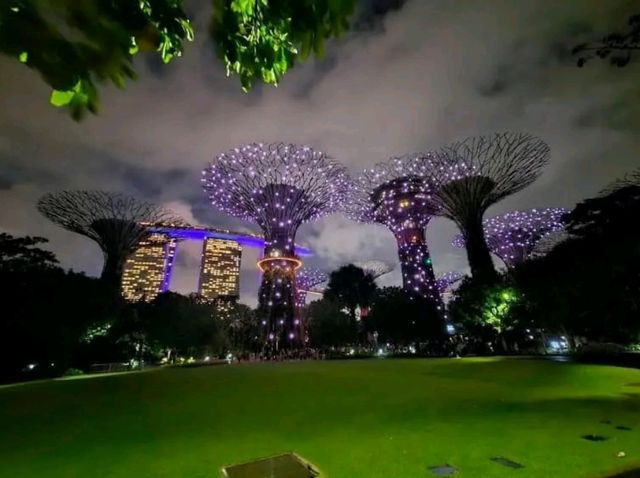 A Walk Through the Future: Exploring Gardens by the Bay, Singapore