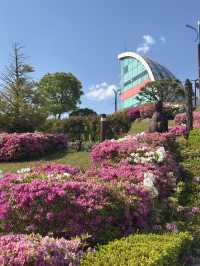 🏝️아름다운 야자수와 꽃들, 휴양지감성의 강원도 삼척 명소 여행가이드추천 💐