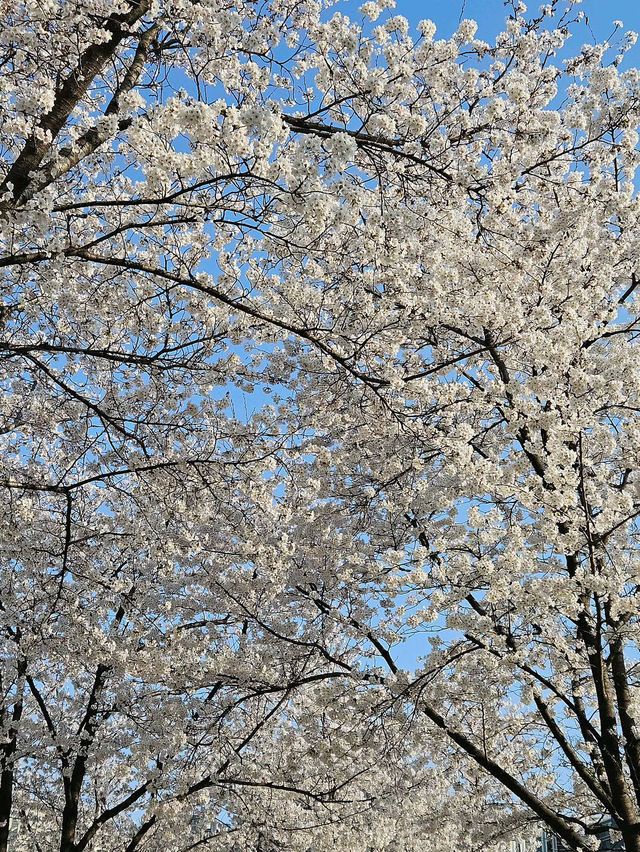 💗😍신동 카페거리 신상 베이글 맛집 잇츠베이글