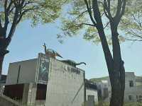 ✨ **首爾近郊必訪景點：坡川與抱川藝術谷的文化與購物探索** ✨  