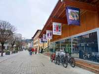 For one-day in Liechtenstein,small yet beautiful country 