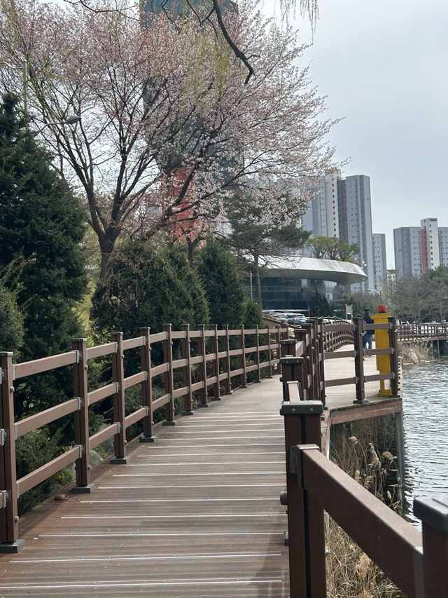 청주 명암저수지, 힐링 산책 데이트 추천🤍🍀🌱