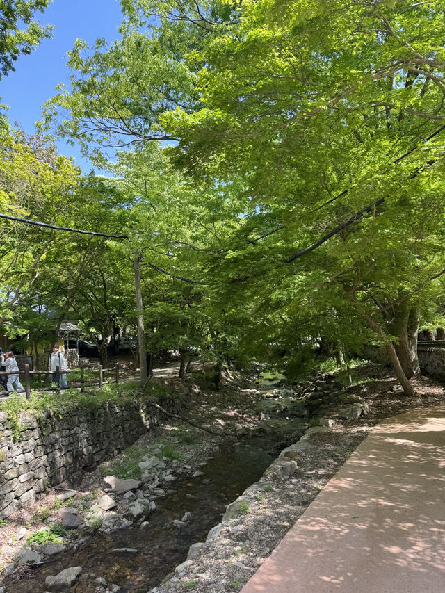 구석구석 정읍 당일치기