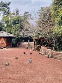 Jeju's Magical Photo Forest: Sanyang Keunkot Review