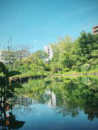 東京の庭園巡りは風流と花と自然を感じたいならココ！