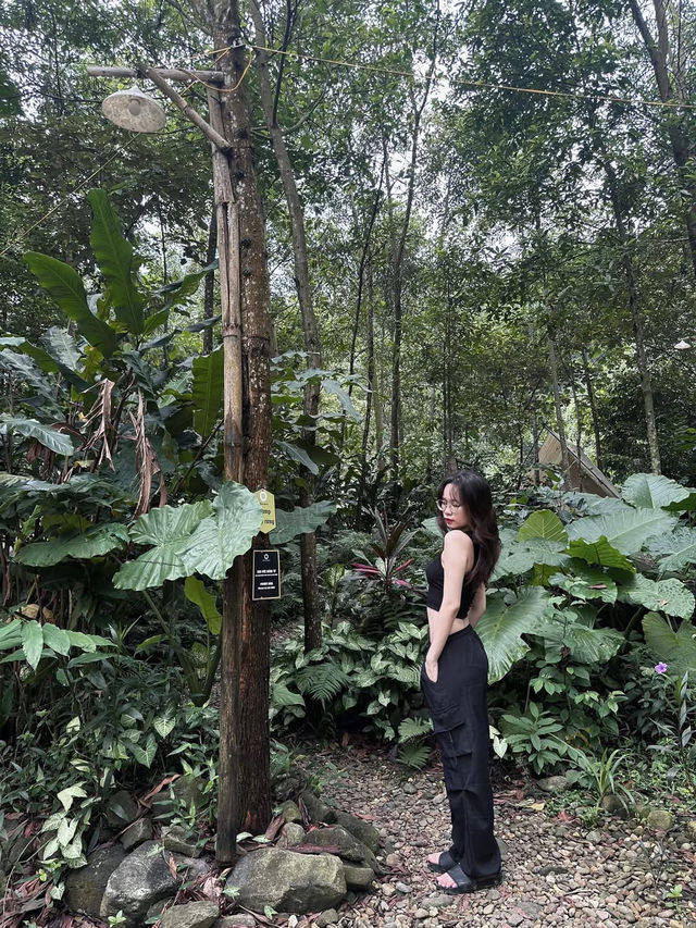 Thái Nguyên