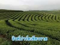 Singha Park Chiang Rai สิงห์ปาร์คเชียงราย