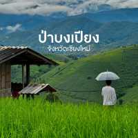 ป่าบงเปียง ทุ่งนาสีเขียวที่โคตรฮีลใจ 💚🍃
