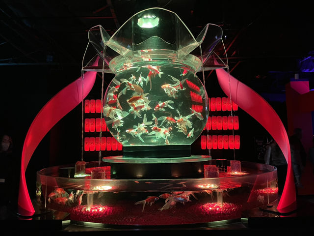 Art Aquarium Ginza: Living art exhibition 