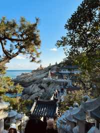 釜山海東龍宮寺｜海岸線上最美的寺廟🌊