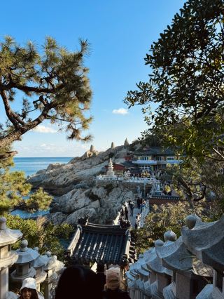 釜山海東龍宮寺｜海岸線上最美的寺廟🌊