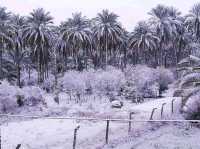 Title: Baghdad – The Soul of Mesopotamia Still Beats Strong