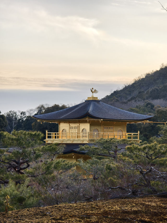京都世界文化遺產金閣寺