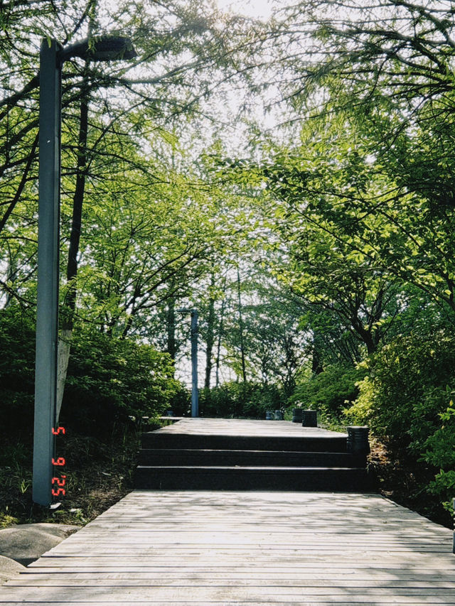 神山公园 