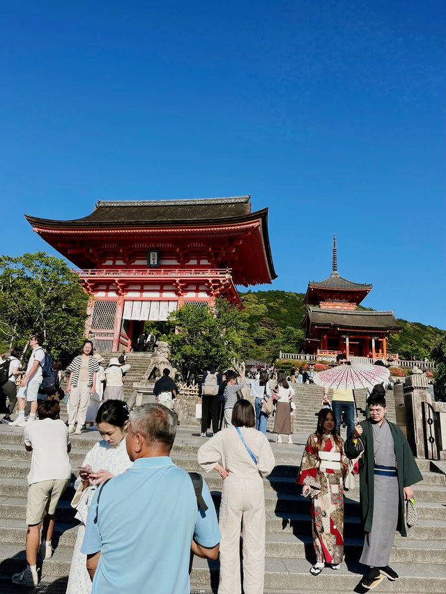【京都旅行】オススメスポット紹介