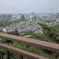 N Seoul Tower (Namsan Tower)