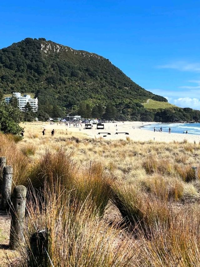 Tauranga – Where Coastal Charm Meets Adventure