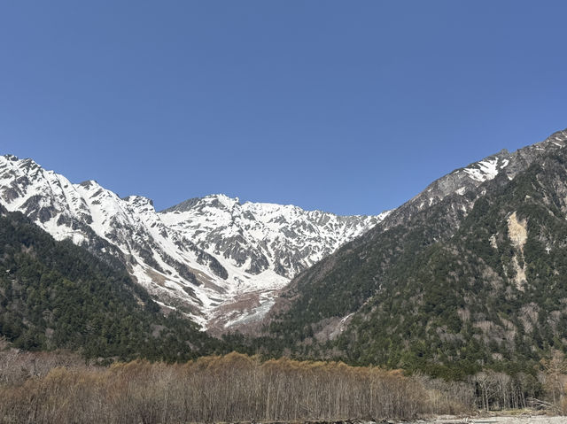 ⛰️ 上高地（かみこうち）：日本アルプスの絶景が広がる神秘の山岳リゾート 🌲🌄