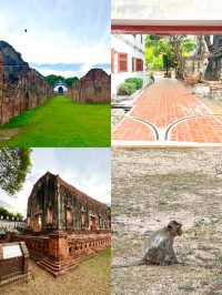 Golden prangs, golden fields — Lopburi’s