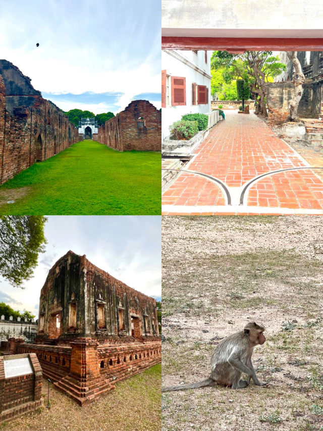 Golden prangs, golden fields — Lopburi’s