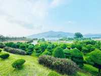 Seongnae Reservoir: Nature’s Mirror