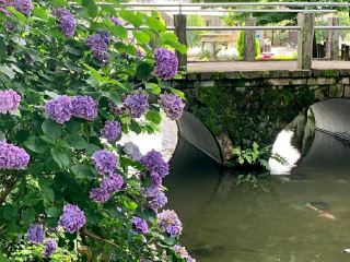 Katsunuma Garden – A Hidden Vineyard Paradise in Yamanashi