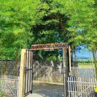 ISBJØRN Chiang Dao คาเฟ่และที่พักสไตล์แคมป์ปิ้ง