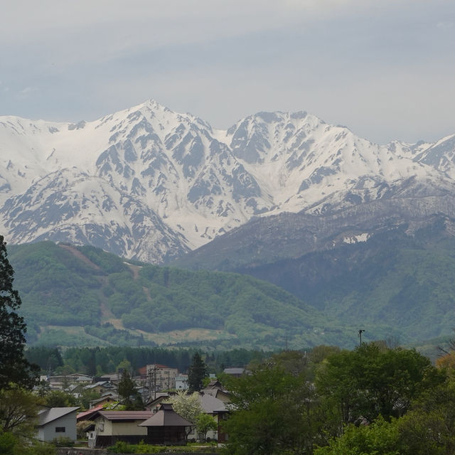 ”Oide Park“ ณ หมู่บ้านฮะคุบะ 🏔️🌲🇯🇵