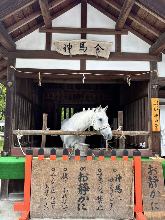 【京都】世界文化遺産のひとつ　上賀茂神社
