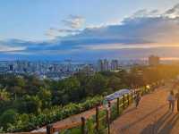 Namsan Park: The Road Less Traveled to Seoul Tower