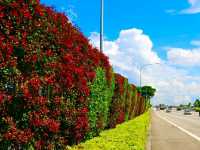 Singapore Gardens – Urban Oasis of Beauty and Innovation