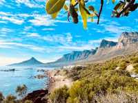 Bakoven Beach: Cape Town’s Secret Coastal Nook