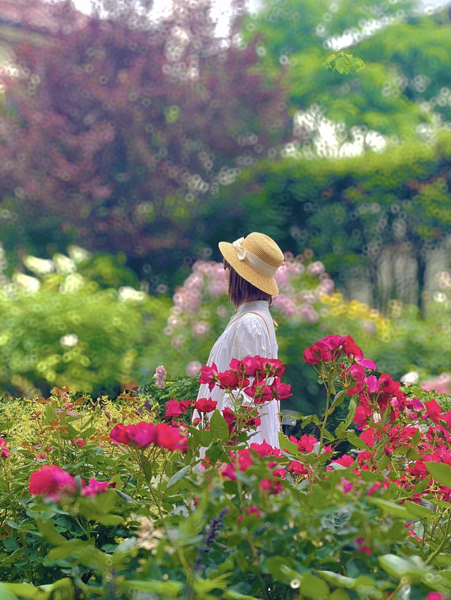 横浜🌹素敵な癒しのスポット🌹港の見える丘公園🥰