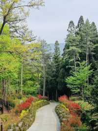 The Baekun Mountain Natural Recreation Fores