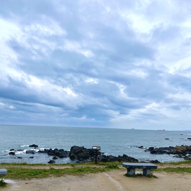 바다와 유채꽃을 함께 볼 수 있는, 슬도 유채꽃밭