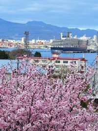 函館🇯🇵 這座美麗的海港城市
