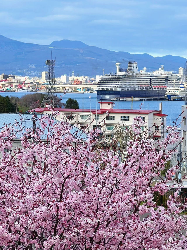 函館🇯🇵 這座美麗的海港城市