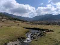 Chill Hills, Dzong Views, and Pure Bhutan Vibes