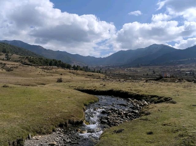 Chill Hills, Dzong Views, and Pure Bhutan Vibes